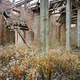 Illustration for article titled Exploring the Decaying Ruins of Brother Island, NYC's Last Unknown Place